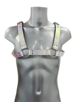 Chunky Buckled Chest Harness In Lizard Rainbow