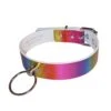 Rainbow Choker With O Ring Detail