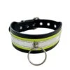 Silver & Yellow Contrast Choker With O Ring