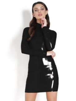 Latex High Collared Dress