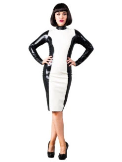 Luxury Panel Latex Dress